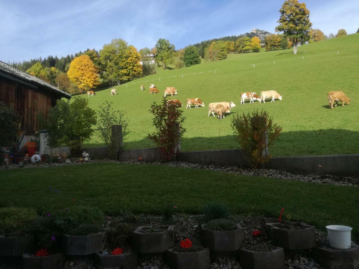 Haus Bergfried Lägenhet Filzmoos Exteriör bild