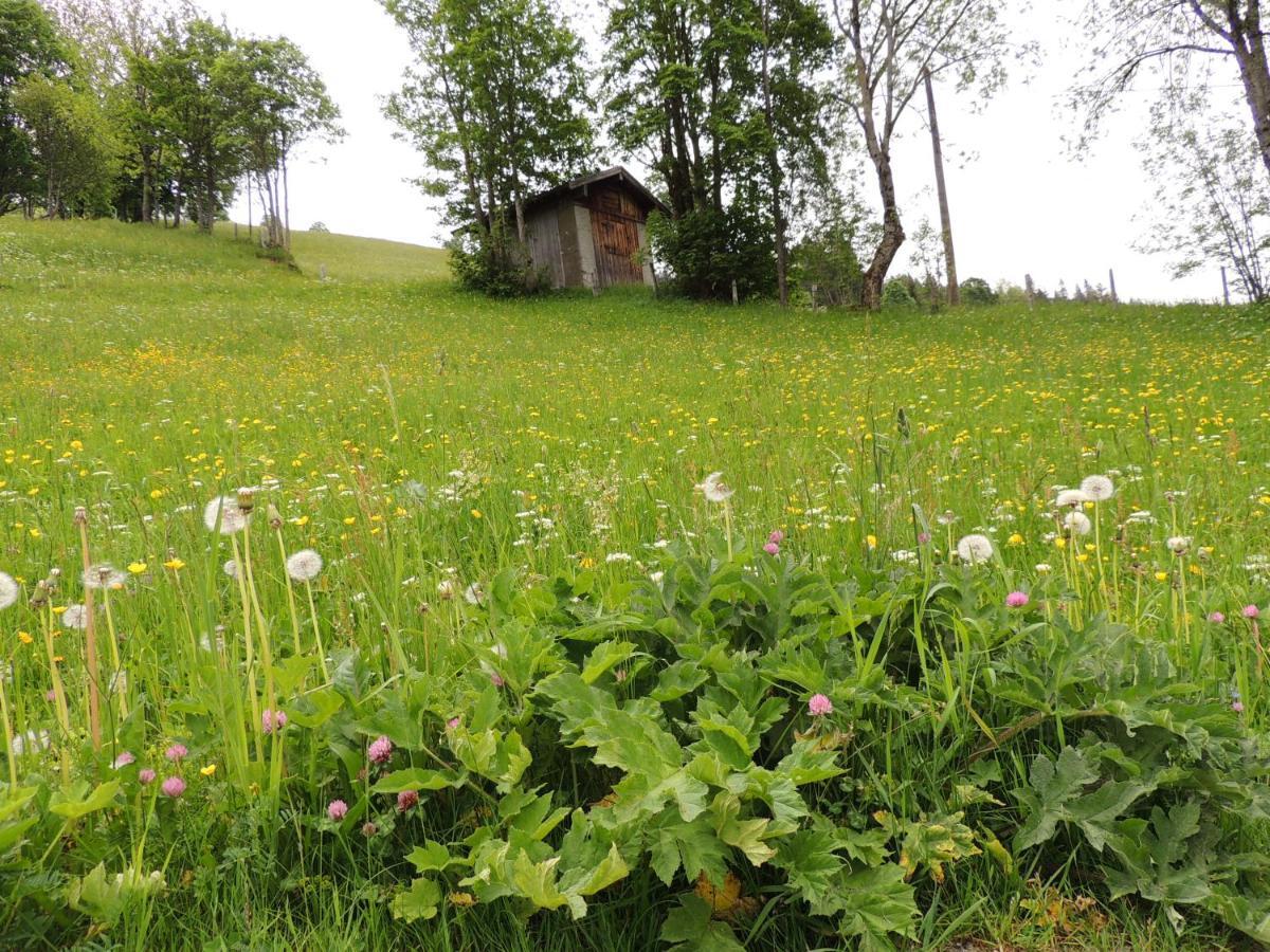 Haus Bergfried Lägenhet Filzmoos Exteriör bild